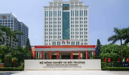 Quy định mới về chức năng, nhiệm vụ, quyền hạn và cơ cấu tổ chức của Bộ Nông nghiệp và Môi trường