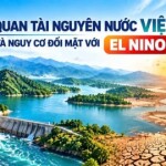 Tổng quan tài nguyên nước Việt Nam và nguy cơ đối mặt với El Niño