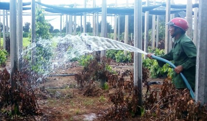 Kon Tum: Phân vùng áp dụng các biện pháp hạn chế khai thác nước dưới đất
