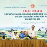 Đổi mới sáng tạo và chuyển đổi số phải được ứng dụng sâu rộng vào sản xuất