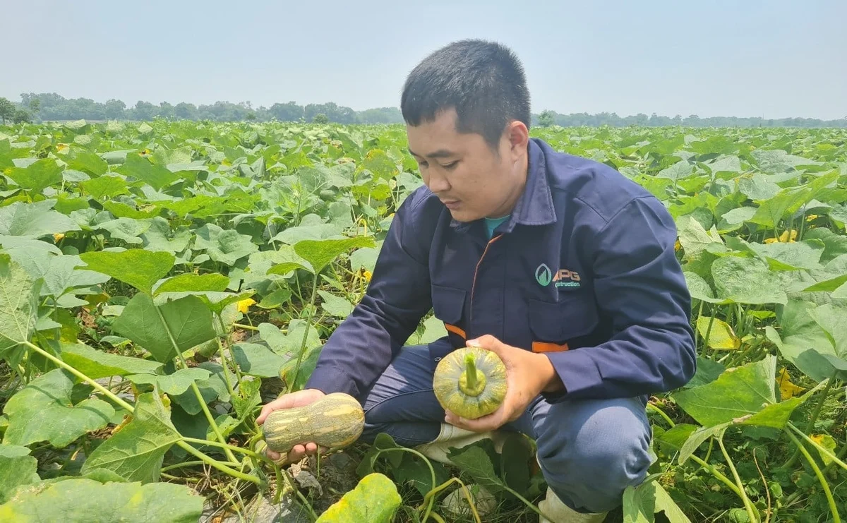 a-song-lam1-140212-54-164555.webp