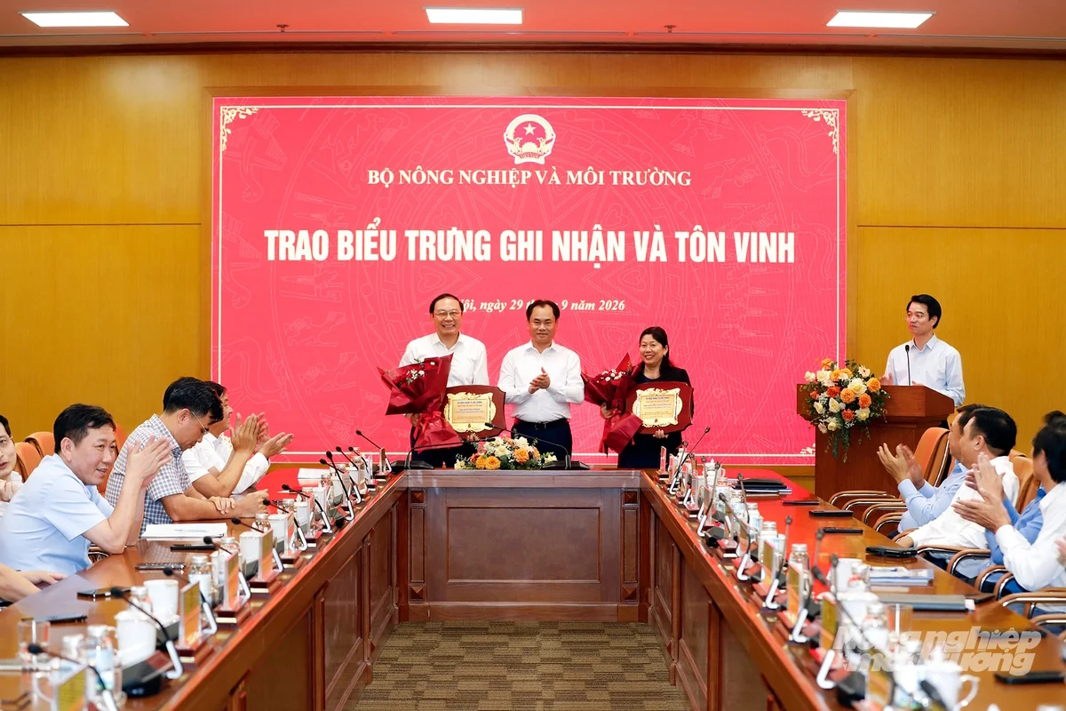baonnmt-bt-hung-2-193734-94-193737-213401.webp