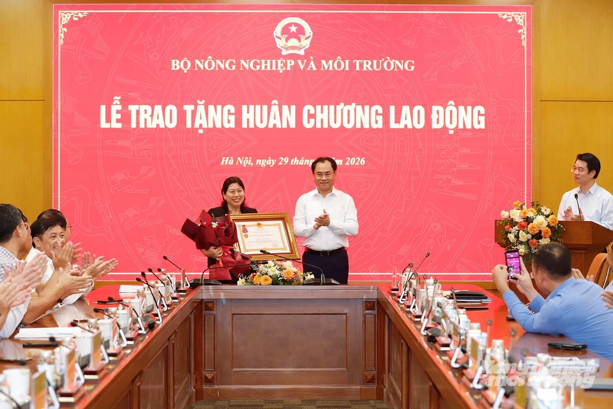 baonnmt-bt-hung-2-193738-316-193740-213359.webp