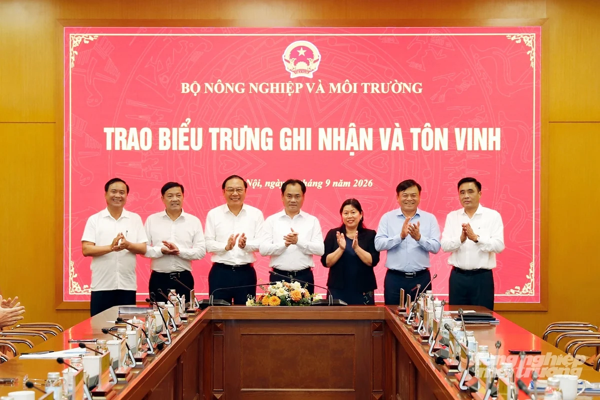 baonnmt-bt-hung3-193747-193-193749-213405.webp