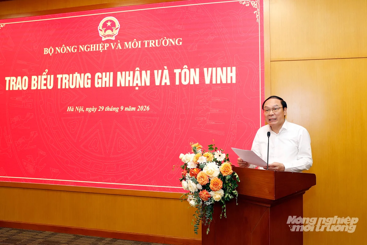 baonnmt-ttr-thanh-193754-842-193757-213404.webp
