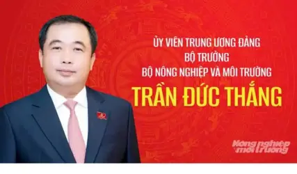 Bộ trưởng Trần Đức Thắng tái cử Ban Chấp hành Trung ương Đảng khoá XIV.