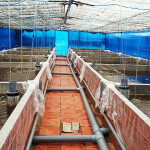 Nâng tầm quản lý tài nguyên nước bằng công nghệ