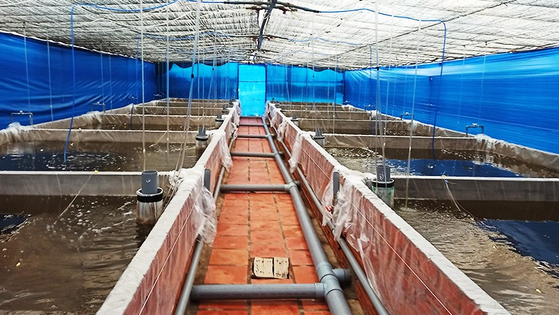 Nâng tầm quản lý tài nguyên nước bằng công nghệ