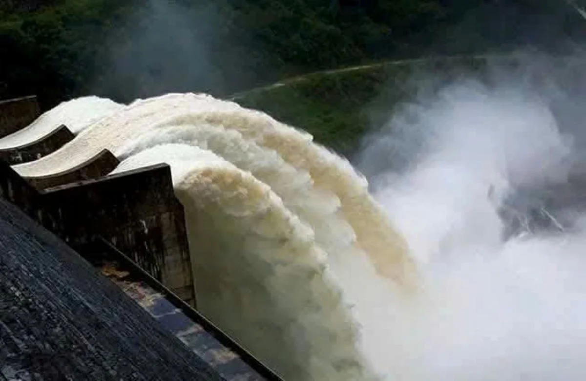 xa-lu-164932-670-231831.webp