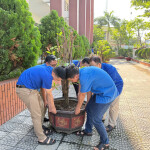 Sôi nổi các hoạt động chào mừng tháng Thanh niên tại Chi đoàn Đoàn Thanh niên Liên đoàn Quy hoạch và Điều tra tài nguyên nước miền Trung